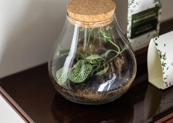 Hotel Corpo Santo Historical 5*