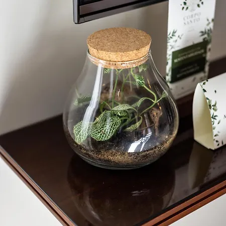 Отель Corpo Santo Historical 5*